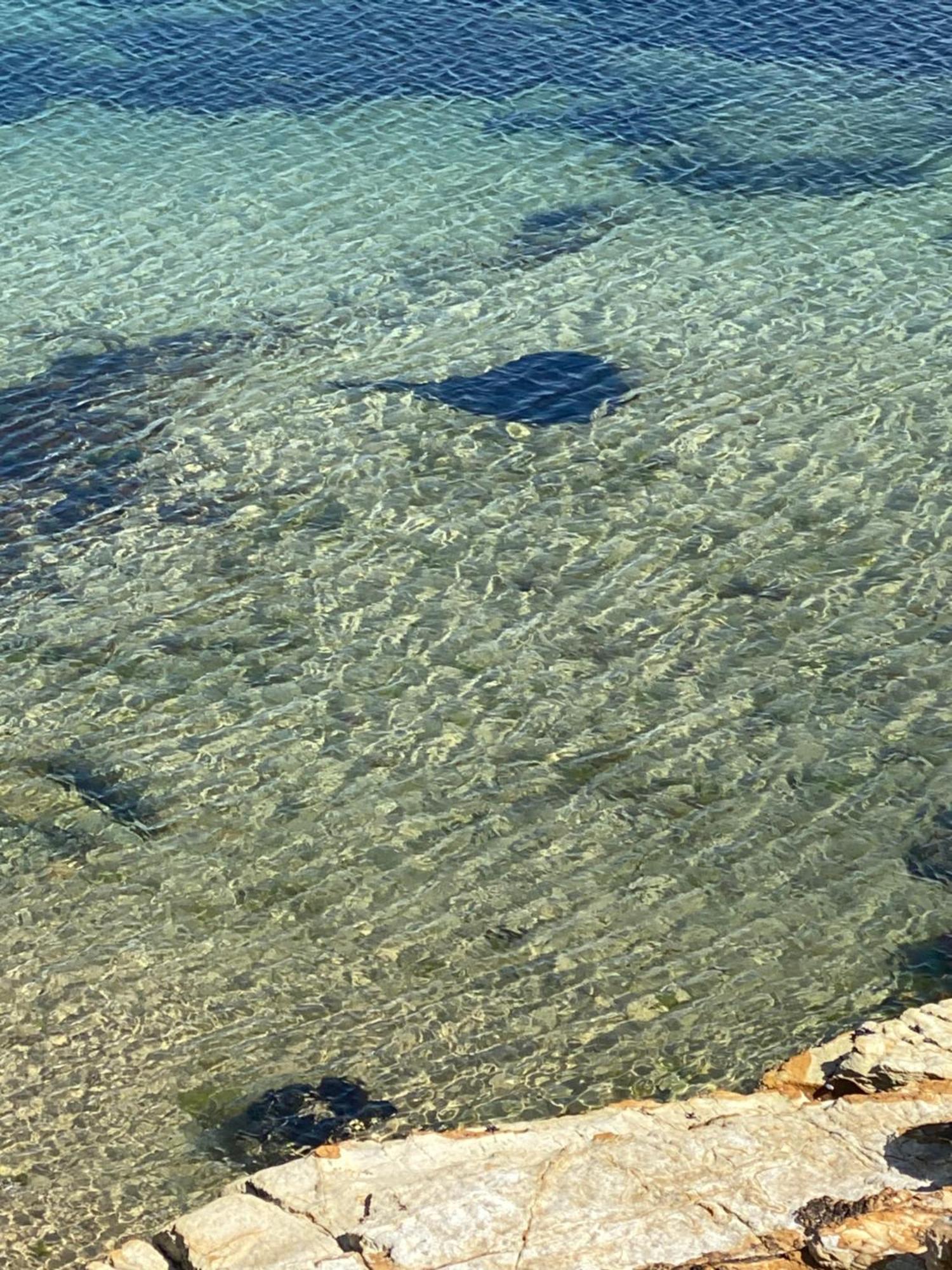 South Arm Beach Buoy Opossum Bay 빌라 외부 사진